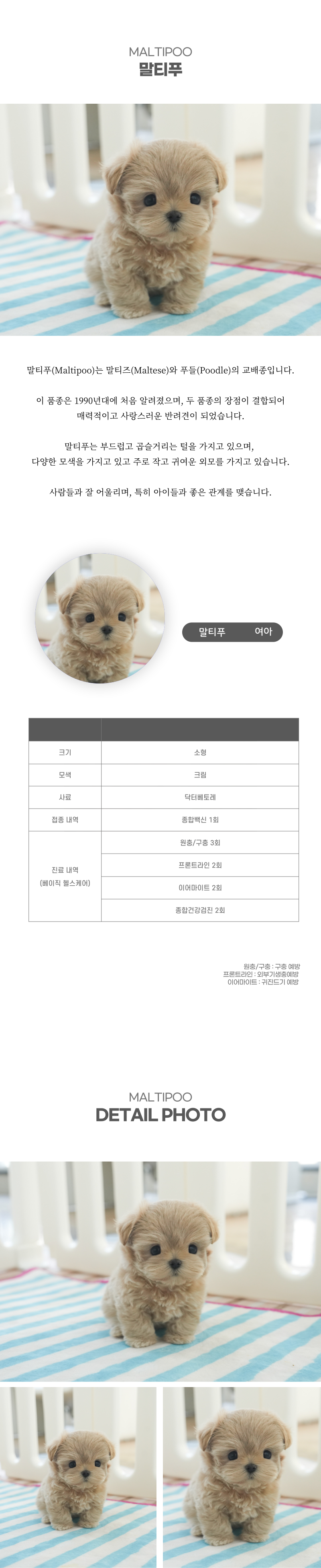 말티푸_상세이미지_2